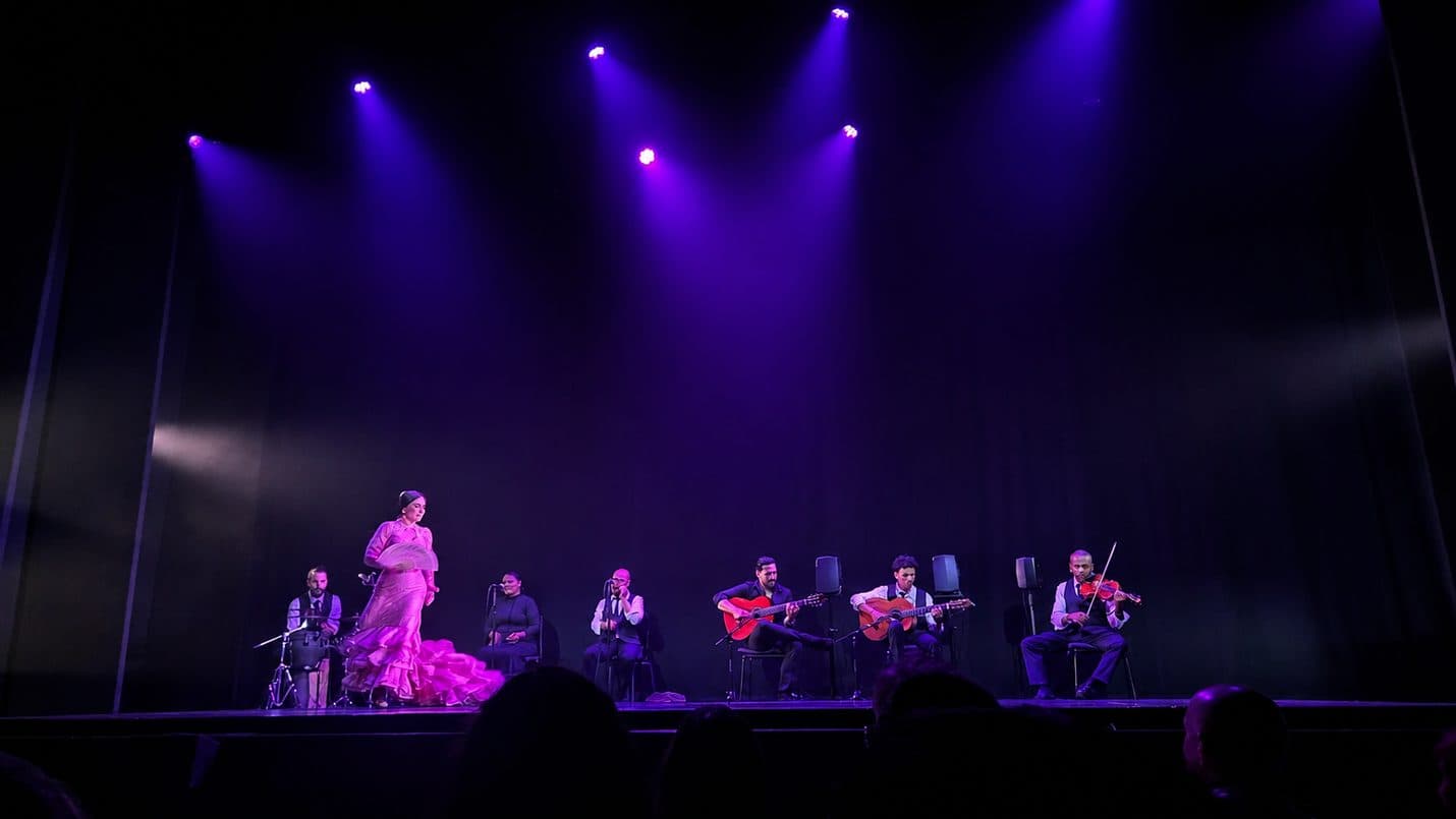Gran Gala Flamenco on stage under violet light — a dancer in a pink ruffled dress mid-movement, flanked by the seated company of guitarists, singers, percussion and violin